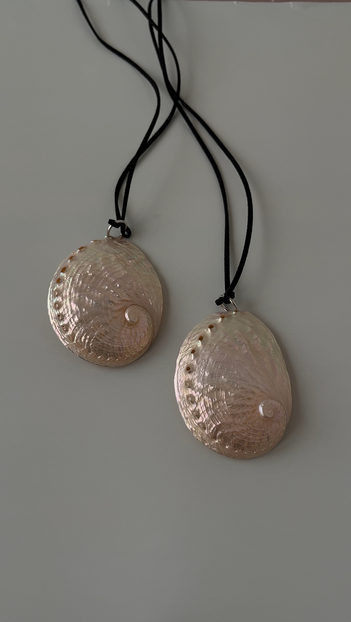 Ракушка крупная на замшевом шнуре